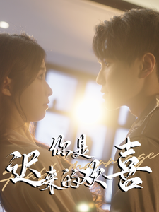 你是迟来的欢喜海报