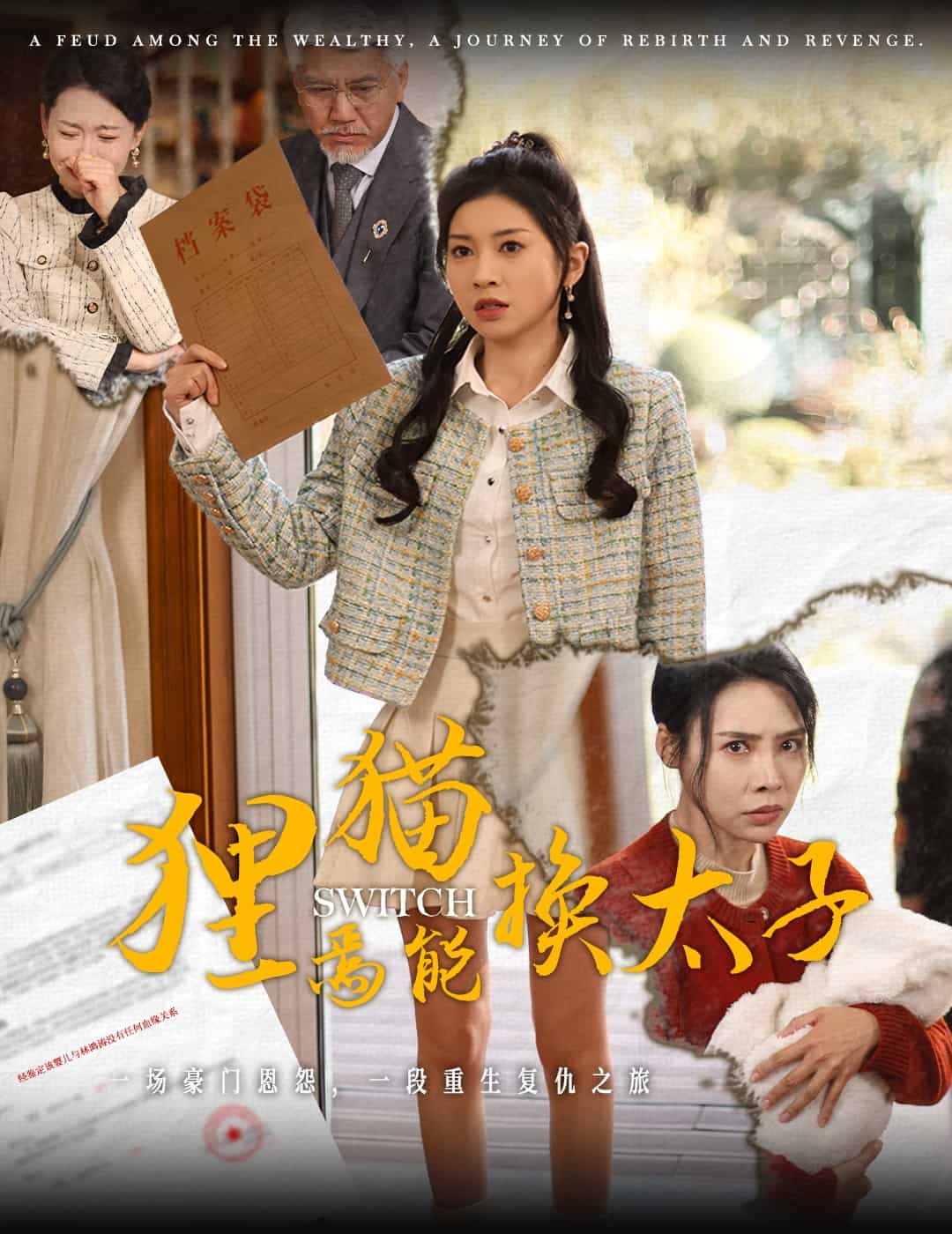 狸猫焉能换太子海报