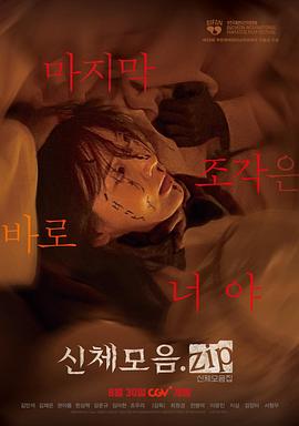 身体集合.zip海报