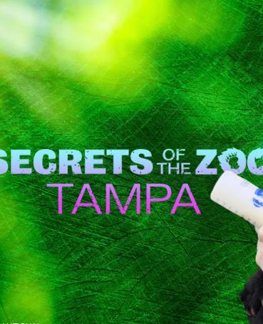动物园秘辛：坦帕湾第四季海报