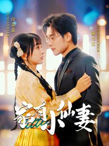 家有小仙妻海报