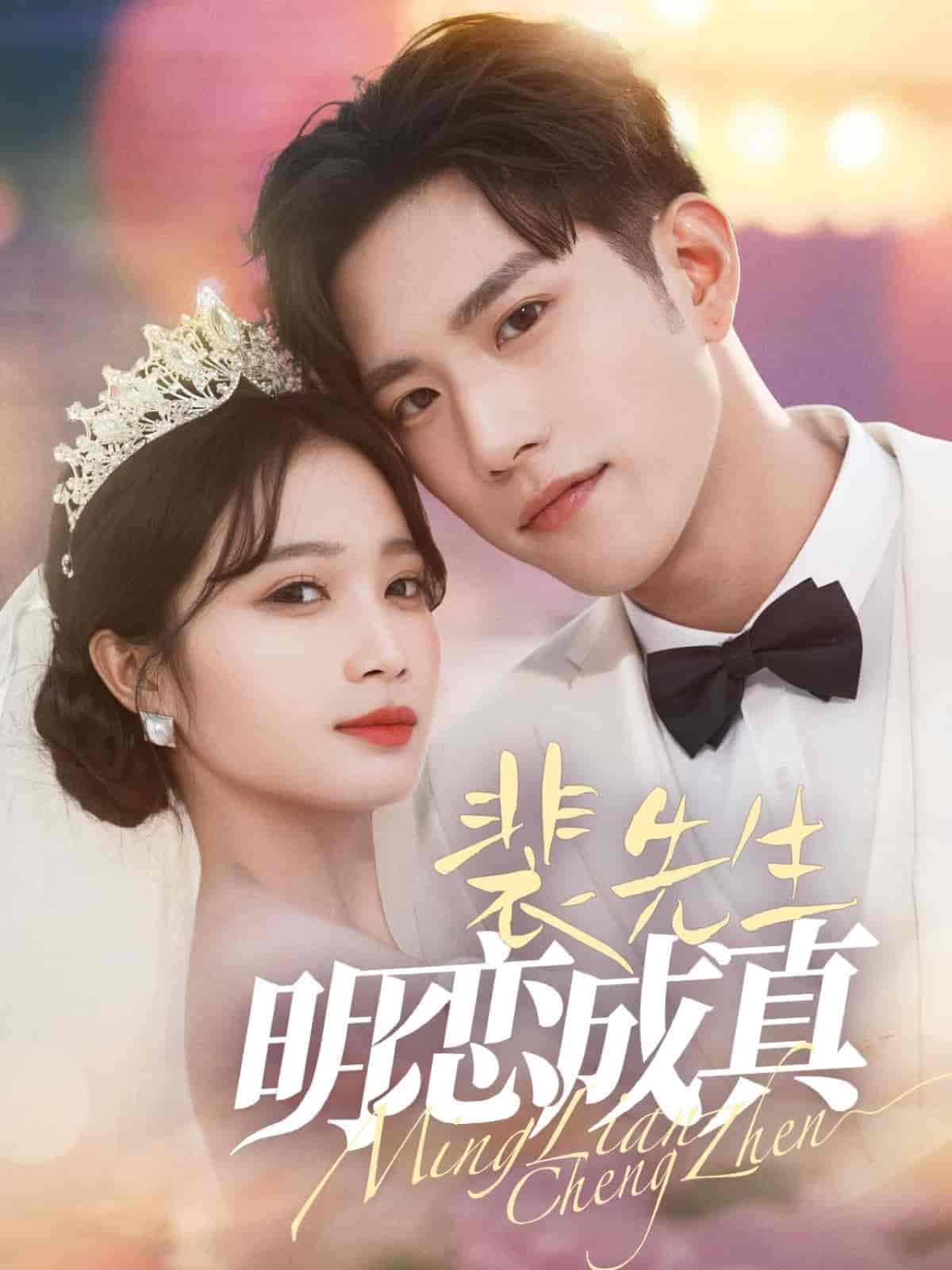 裴先生明恋成真海报