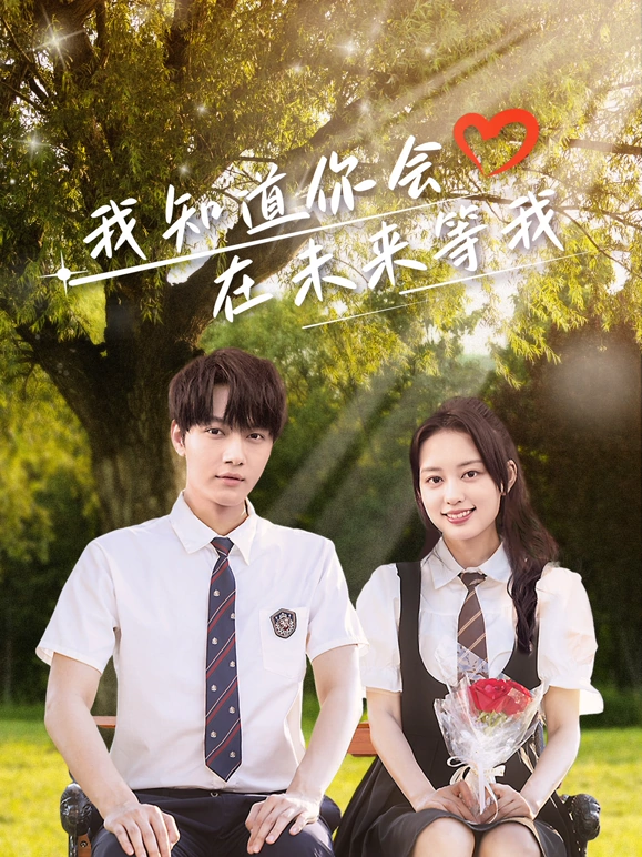 我知道你会在未来等我海报