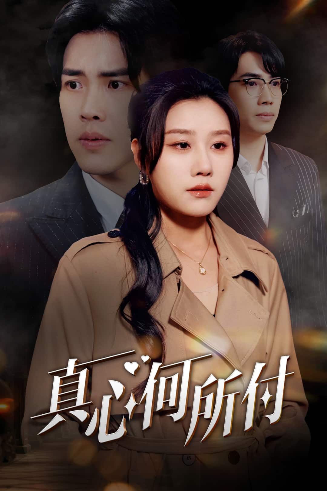 真心何所付海报