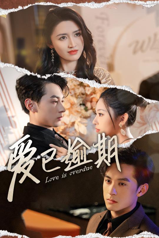 从此山海不相逢海报