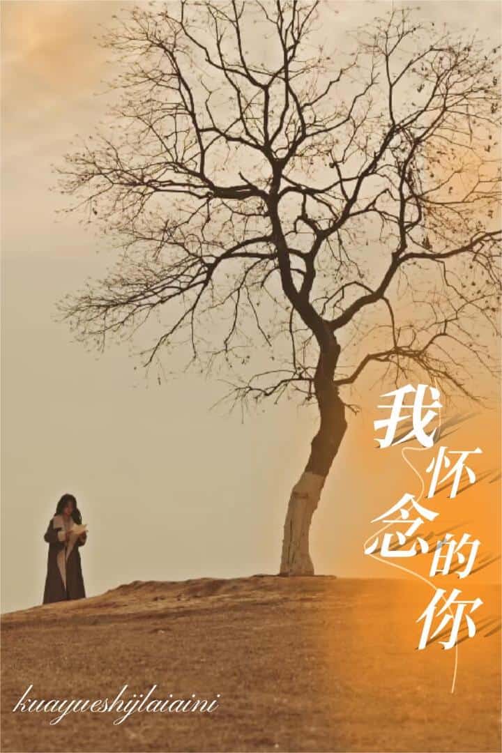 跨越时间来爱你海报