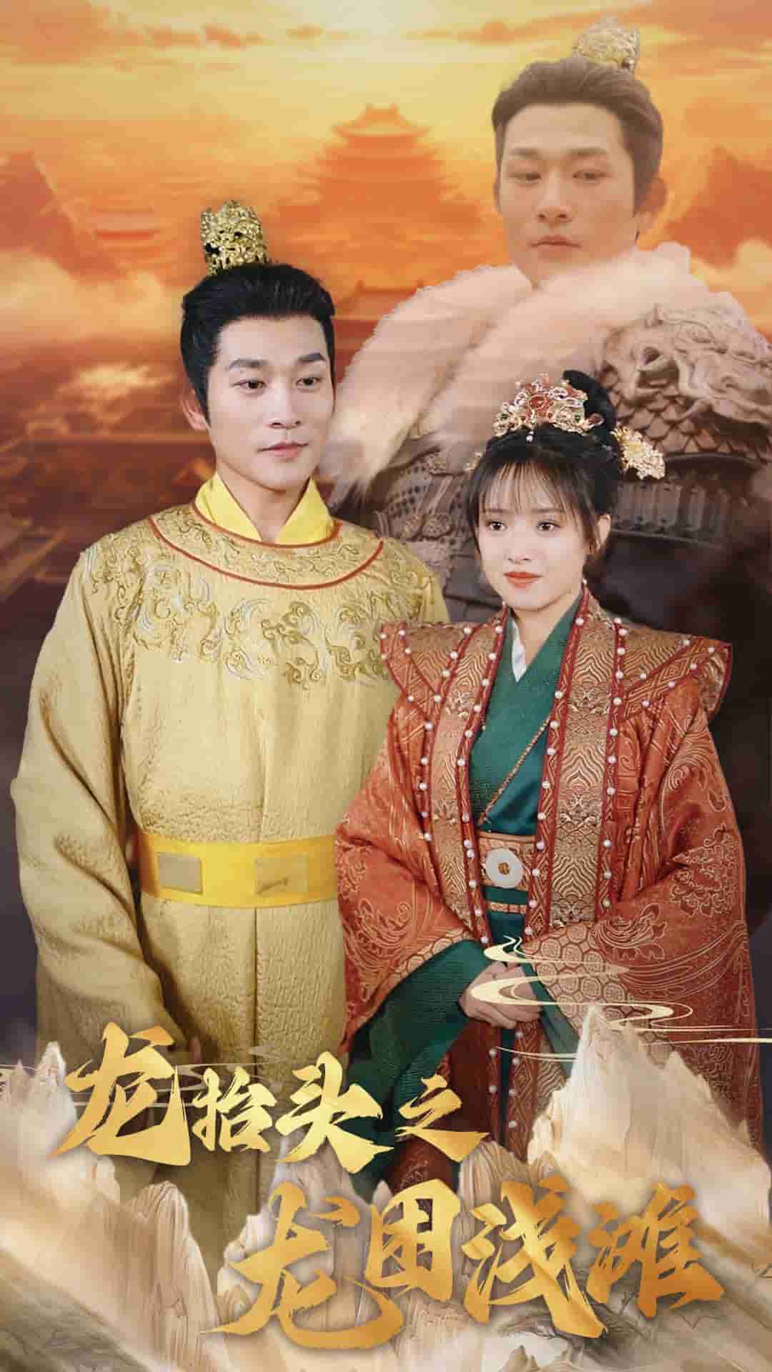 龙抬头之龙困浅滩海报