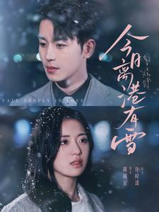 今日离港有雪海报