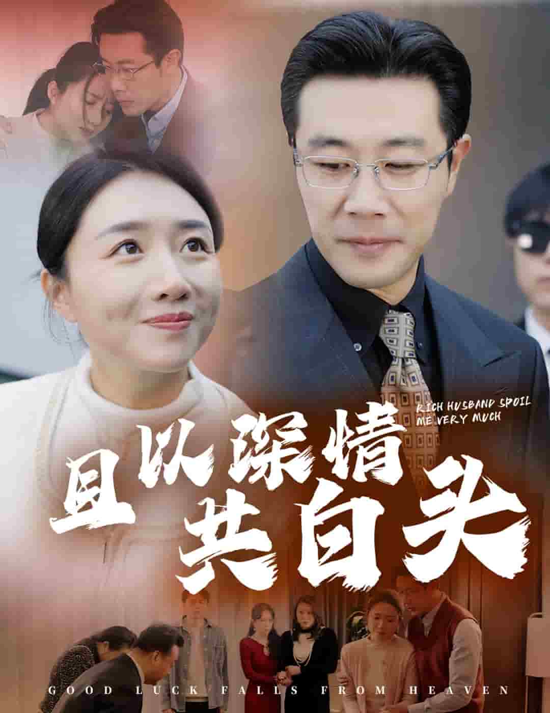 且以深情共白头海报