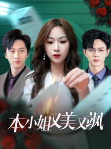 本小姐又美又飒海报