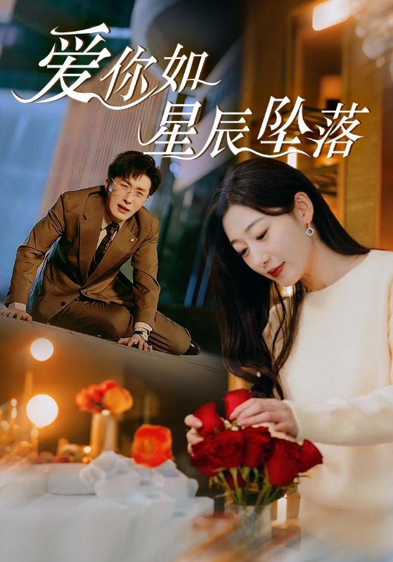 爱你如星辰坠落海报