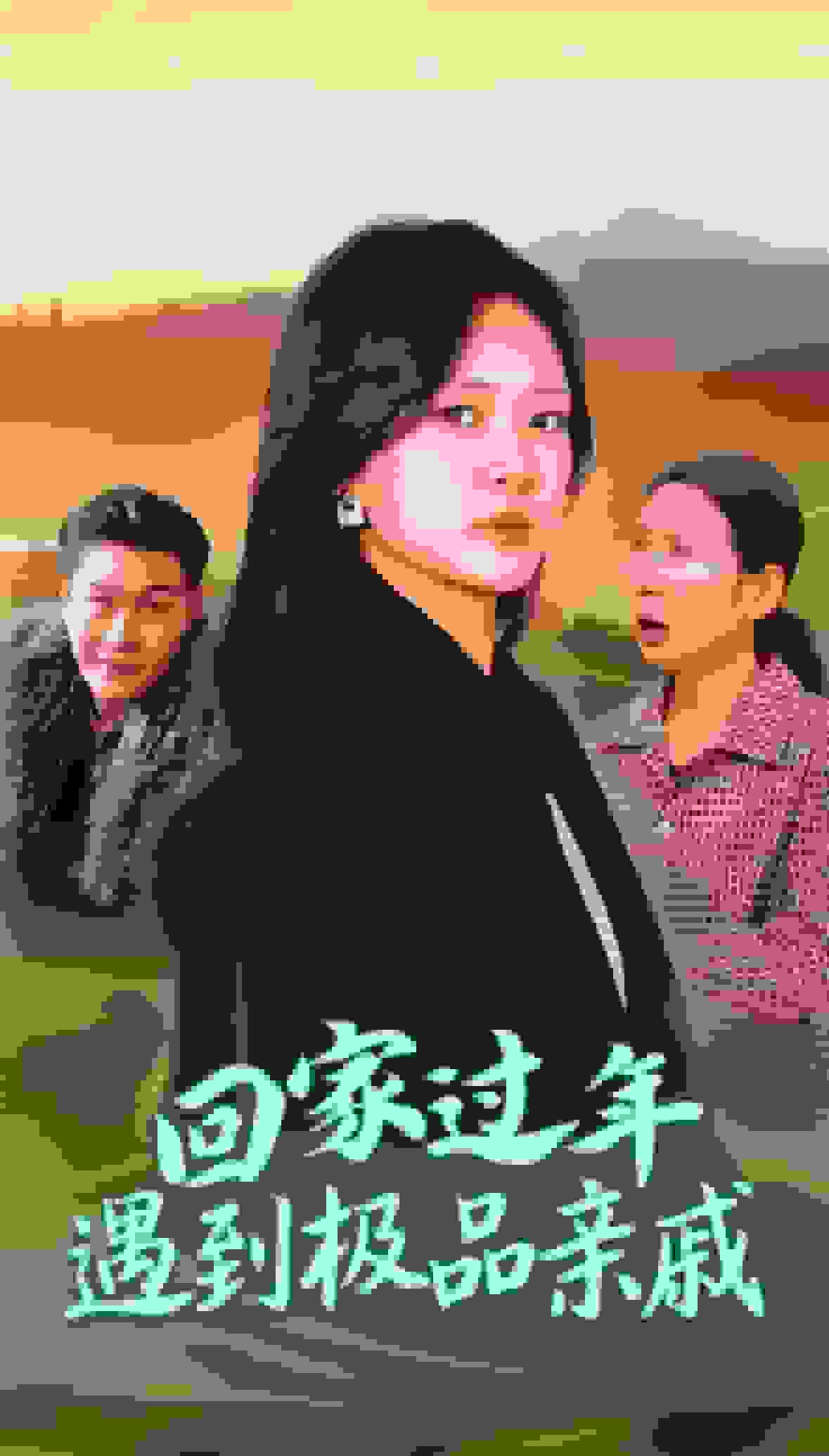 回家过年遇到极品亲戚海报