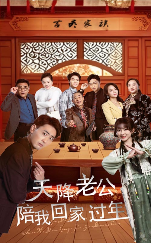 天降老公陪我回家过年海报