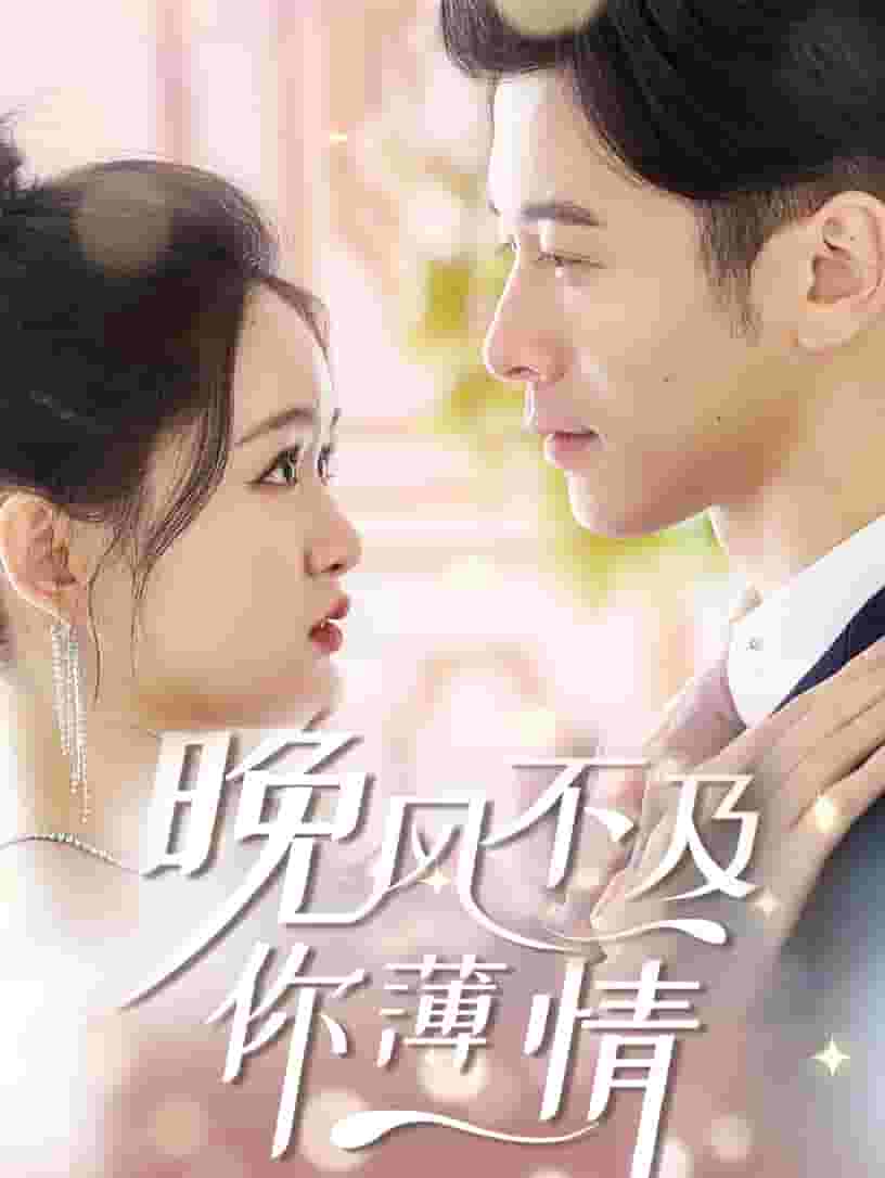 晚风不及你薄情海报