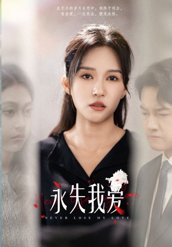 永失我爱 短剧版海报
