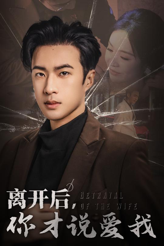 心如枯木难逢春海报