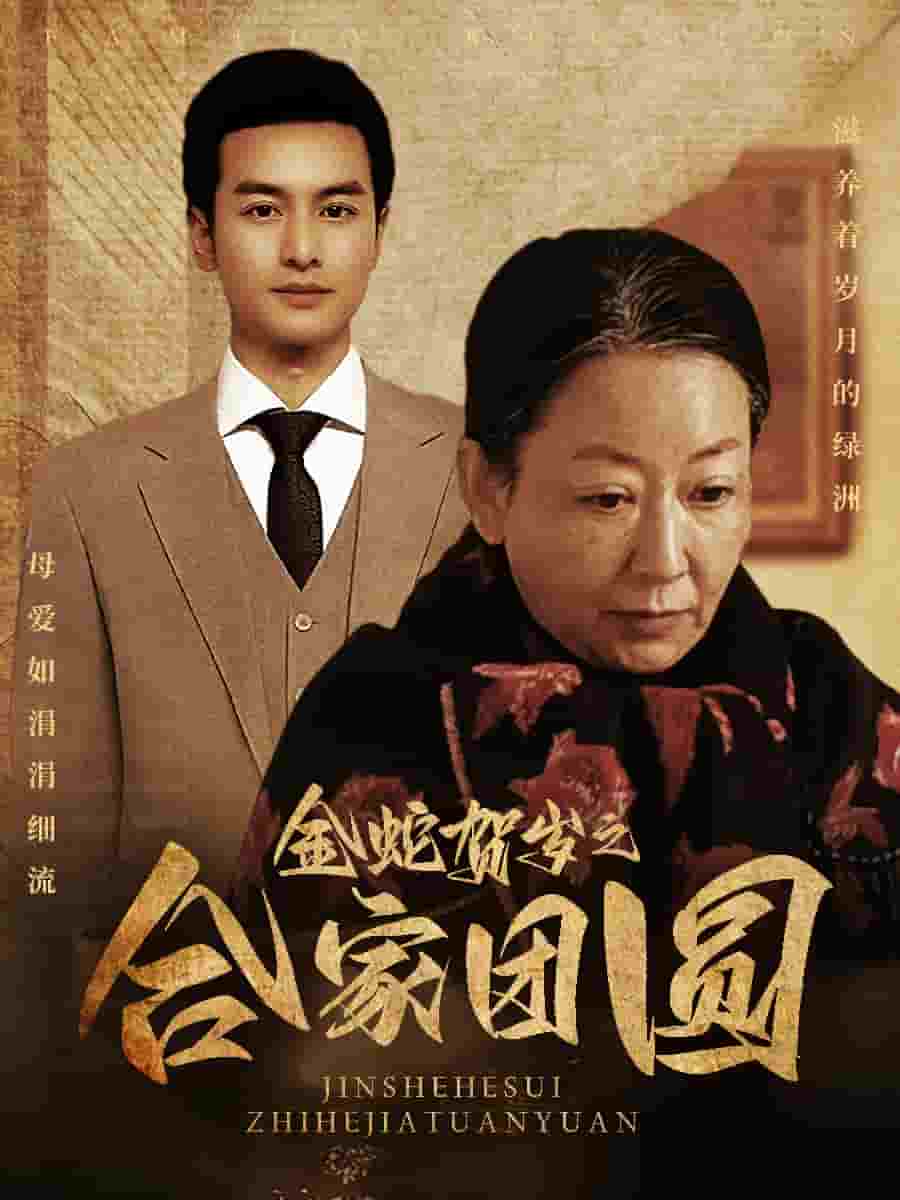 金蛇贺岁之合家团圆海报