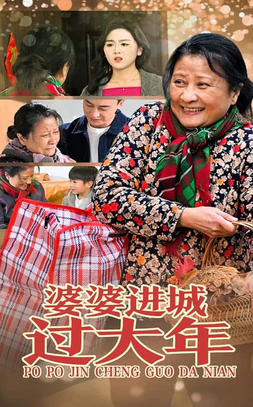 婆婆进城过大年海报