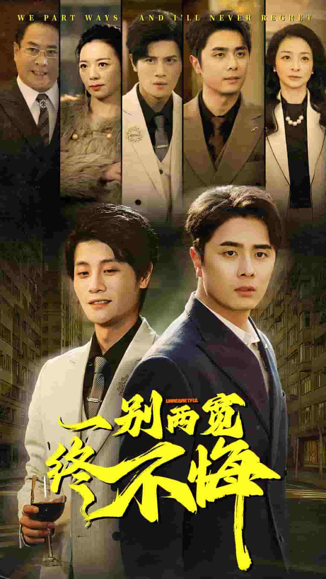 一别两宽终不悔海报