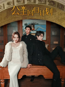 公主回归计划海报