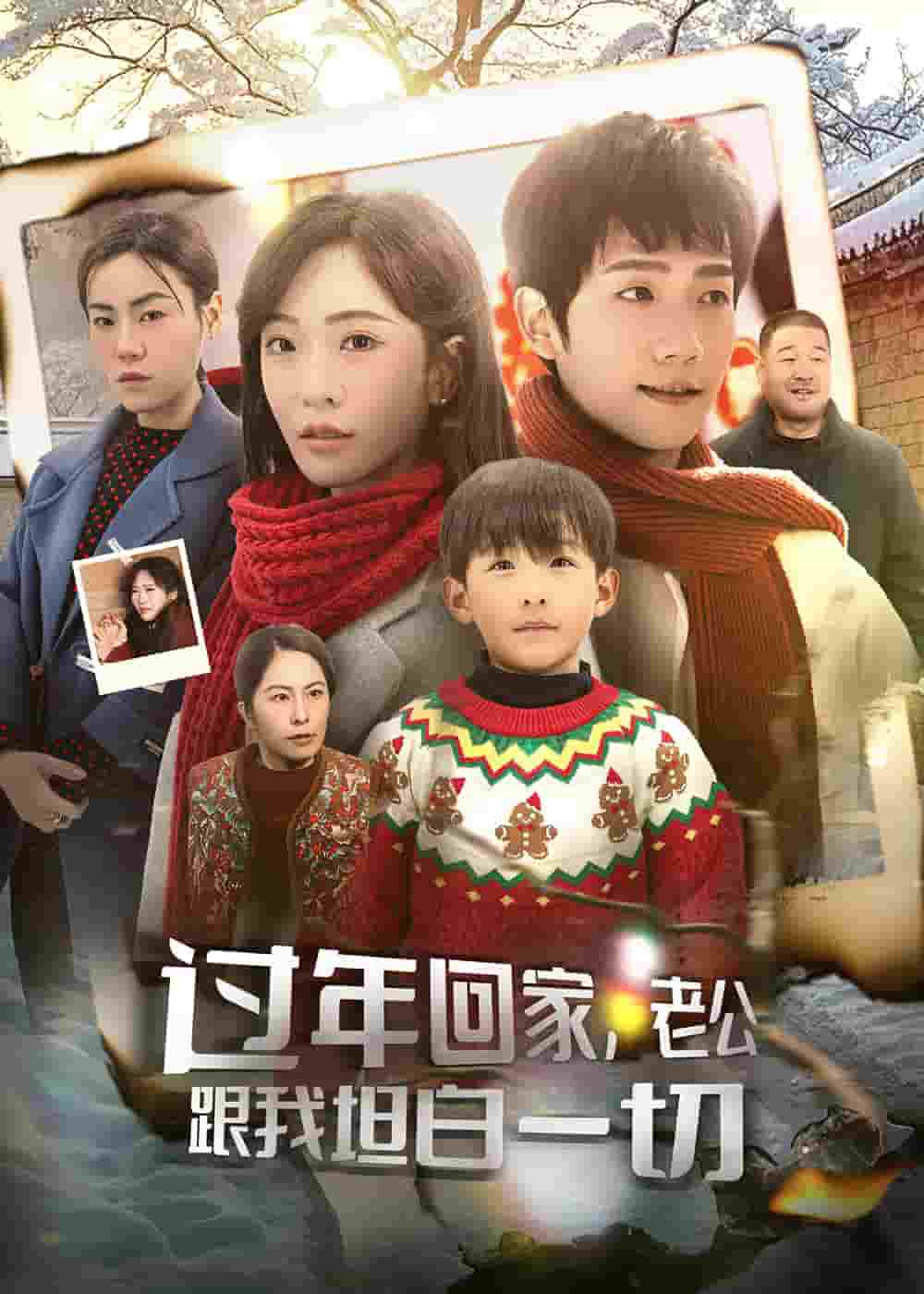 过年回家，老公跟我坦白一切海报