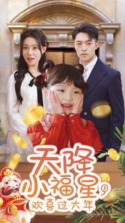 天降小福星，欢喜过大年海报