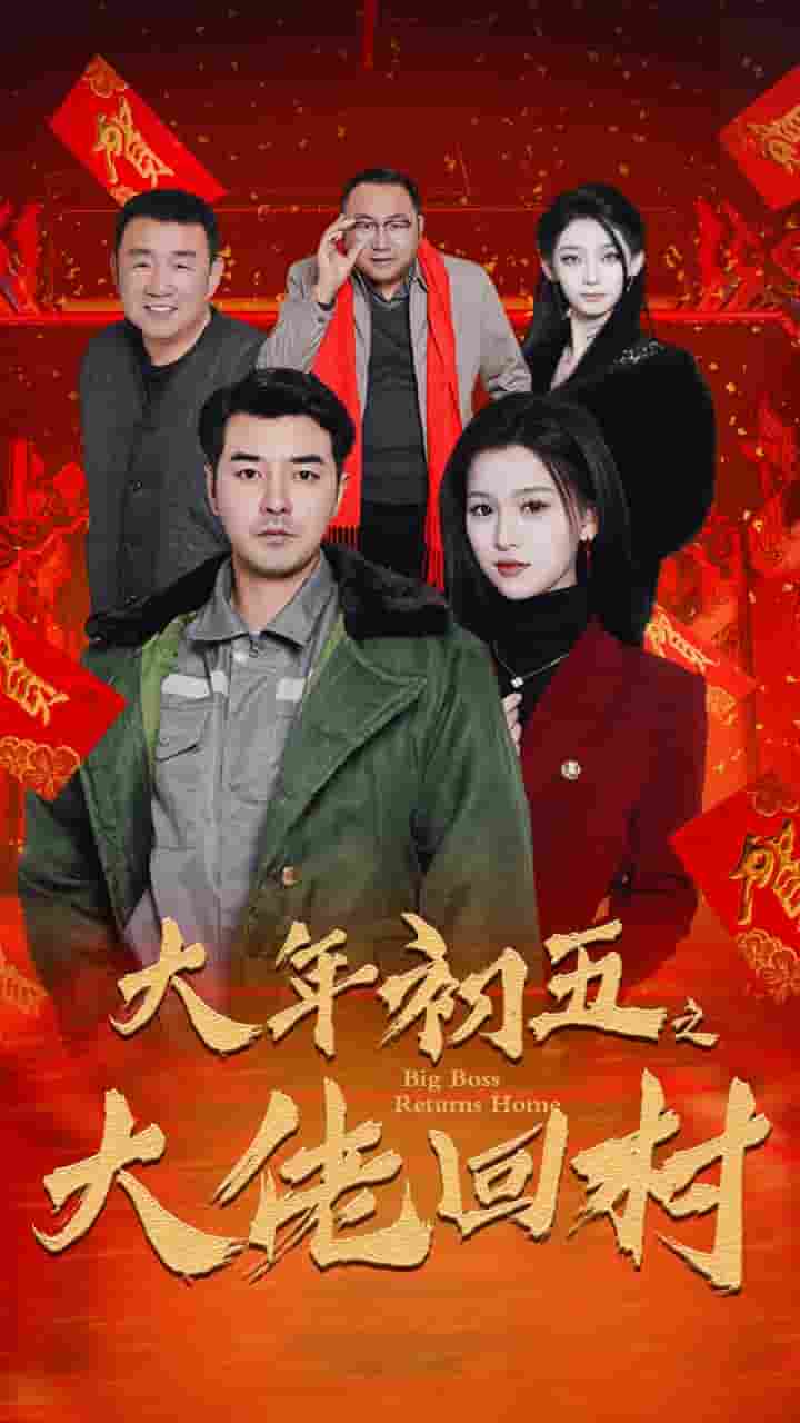 隐婚老公带娃上门海报