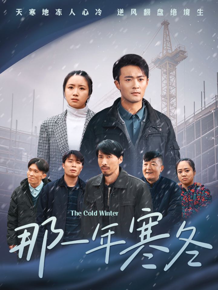 那一年寒冬海报