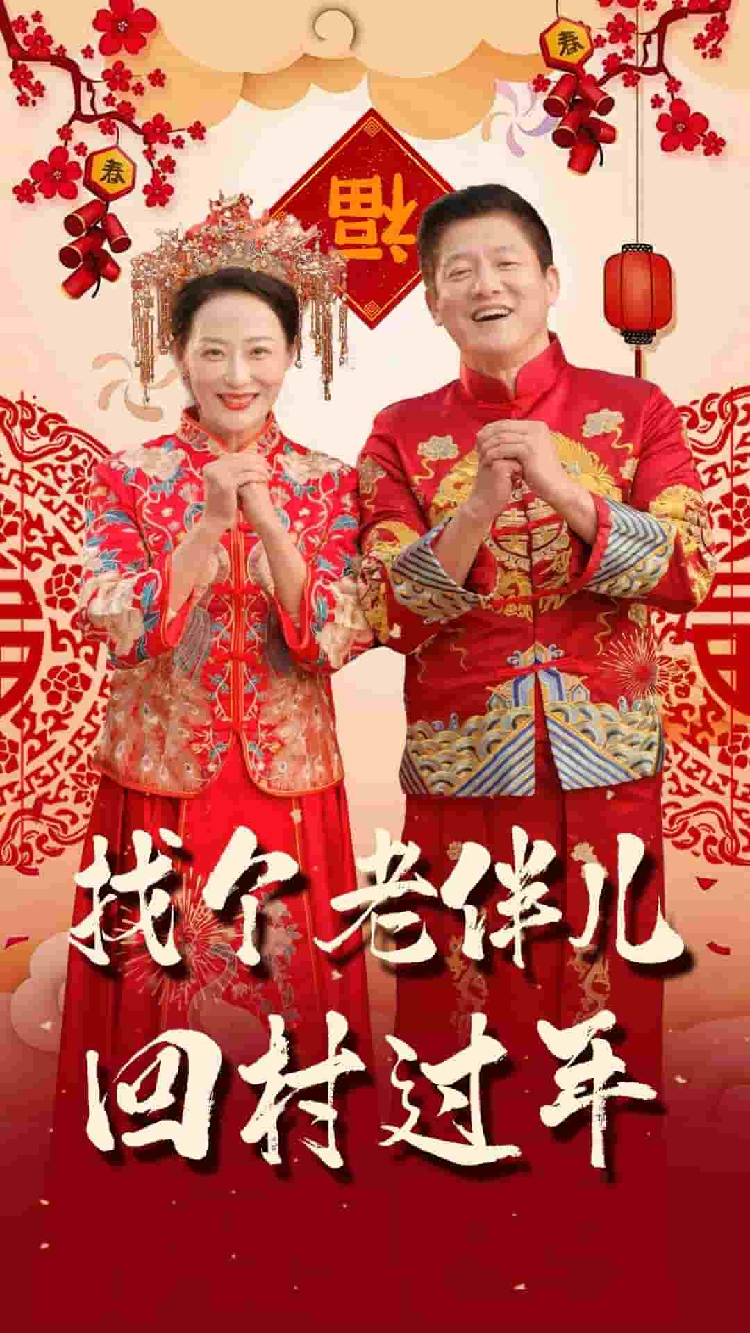 找个老伴儿回村过年海报