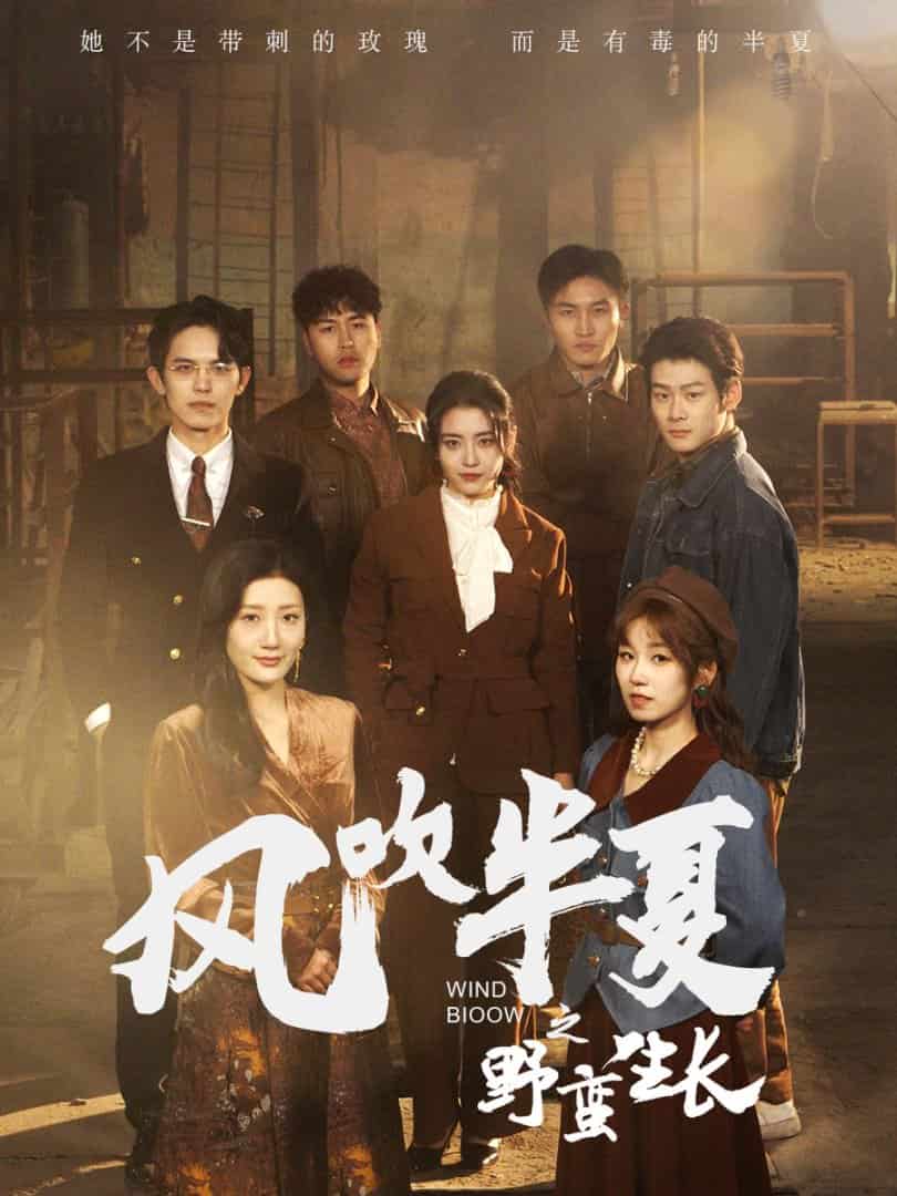 风吹半夏之野蛮生长海报