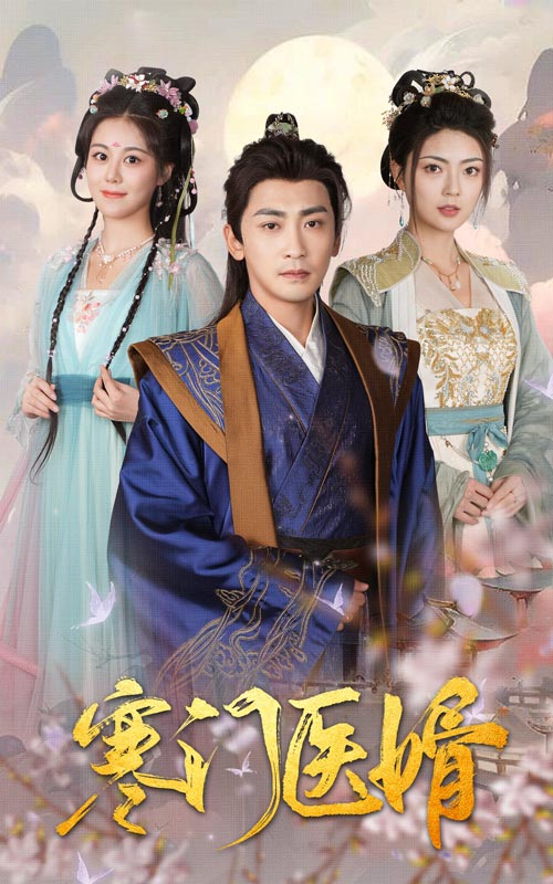 寒门医婿海报