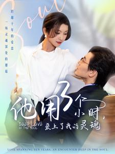 他用3个小时爱上了我的灵魂海报