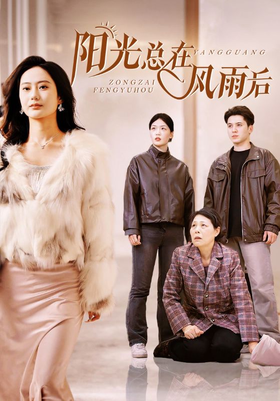 阳光总在风雨后 短剧版海报