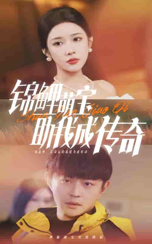 锦鲤萌宝助我成传奇海报