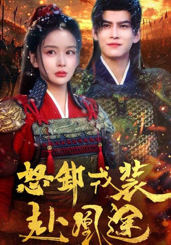 怒卸戎装赴凰途海报