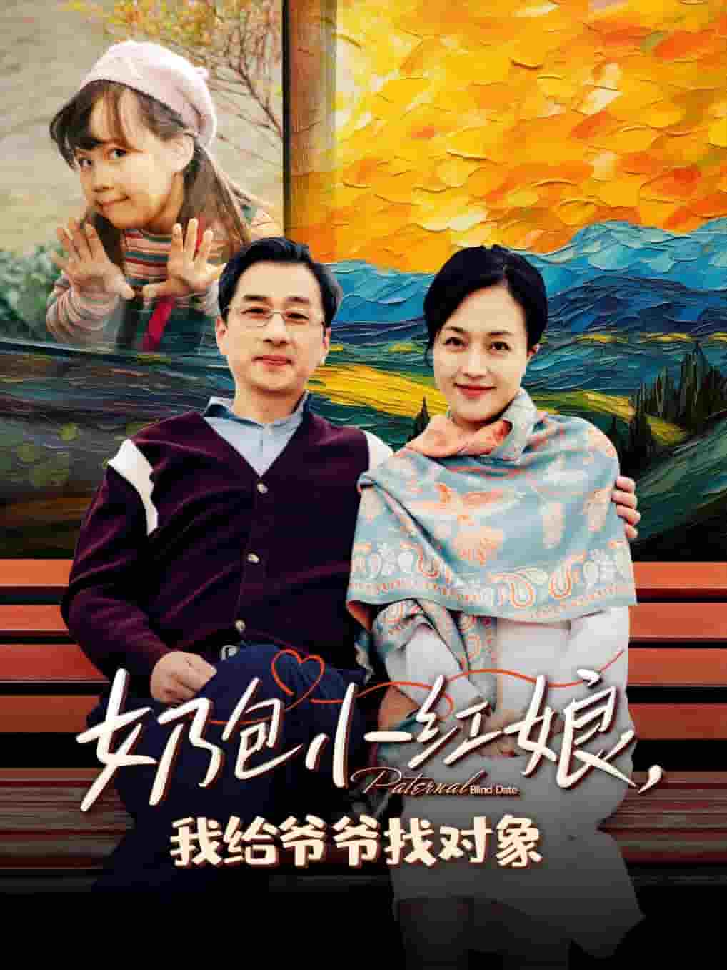 奶包小红娘我给爷爷找对象海报