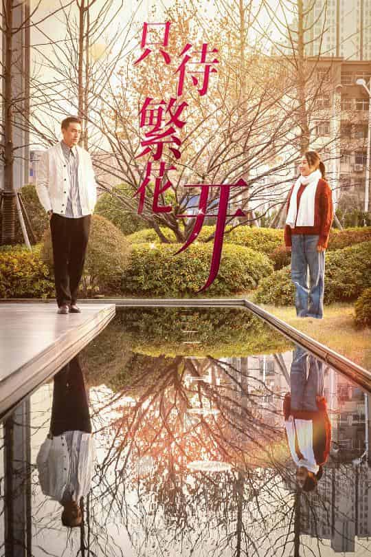 只待繁花开海报