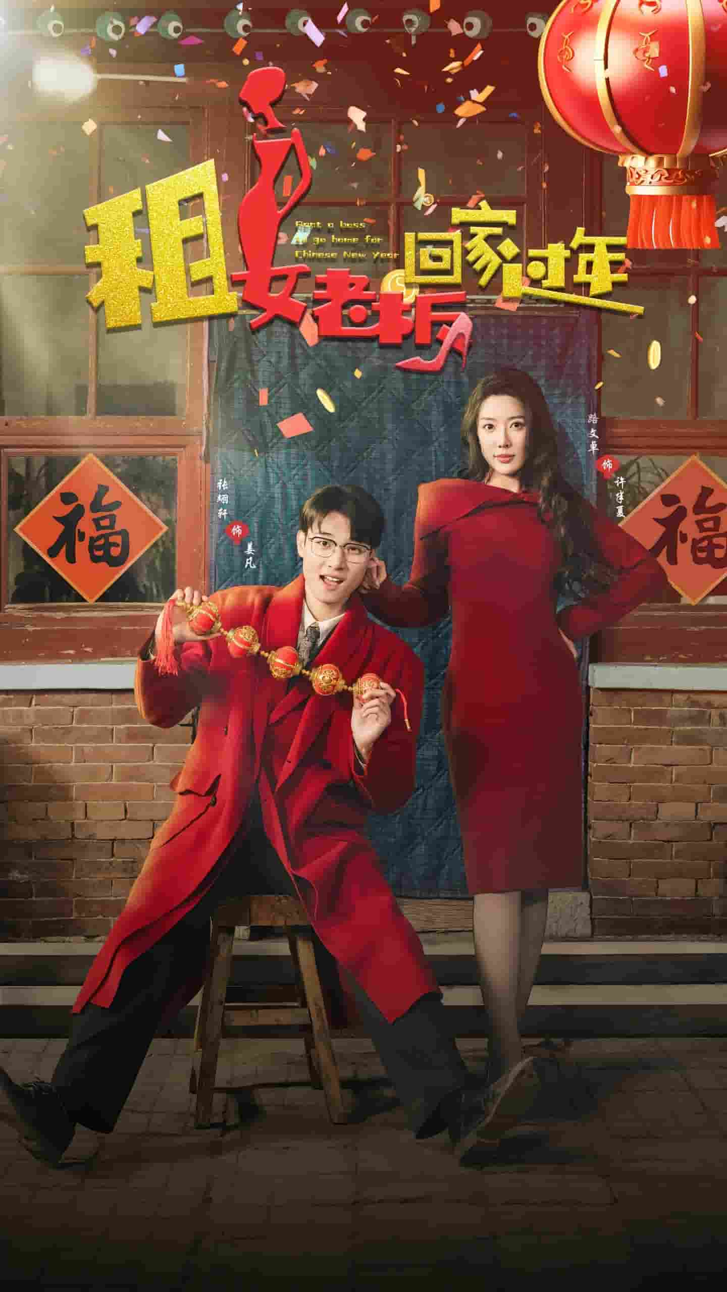 租女老板回家过年海报