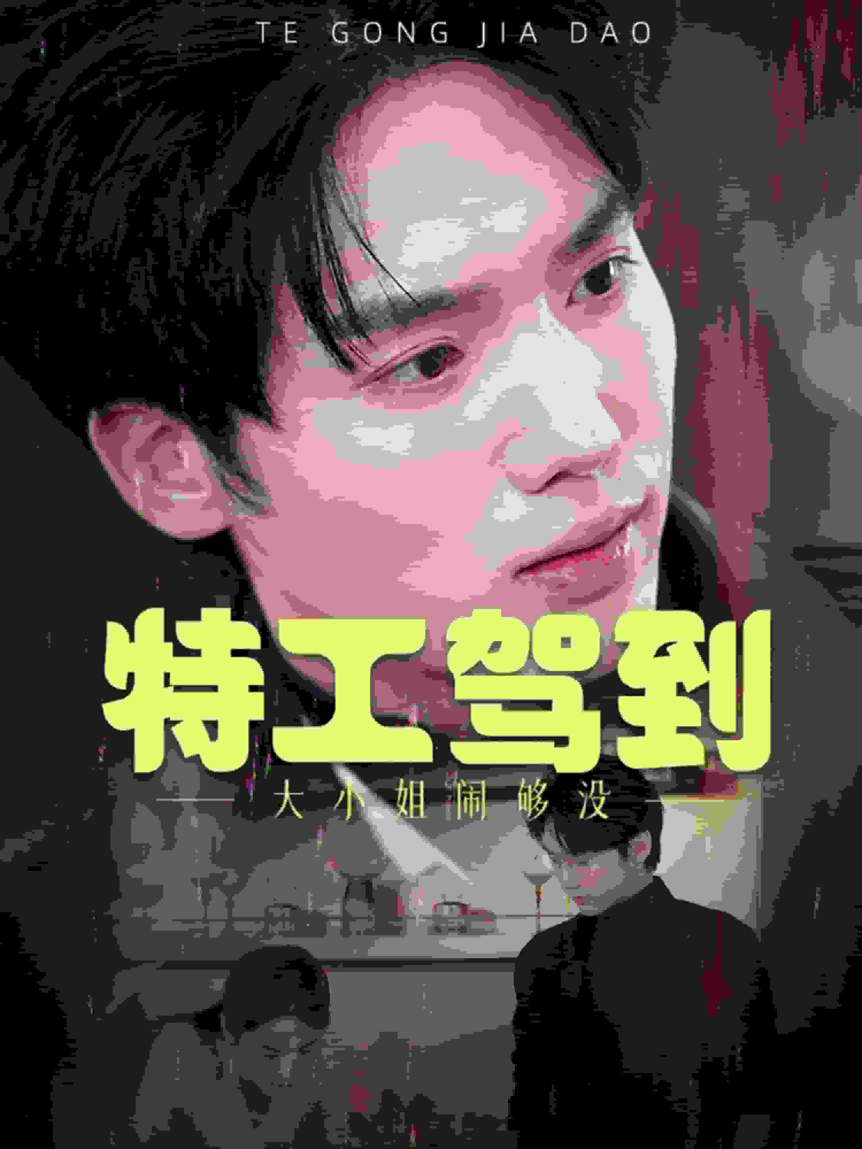 特工驾到大小姐别闹了海报