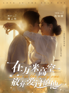 在万米高空放弃爱过的他海报
