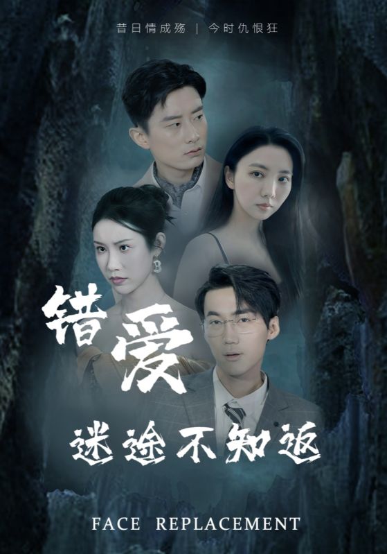 错爱迷途不知返海报