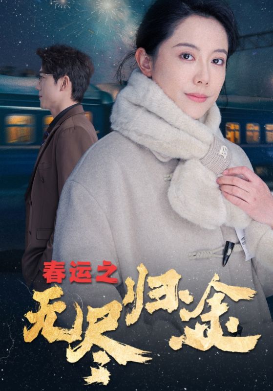 春运之无尽归途海报