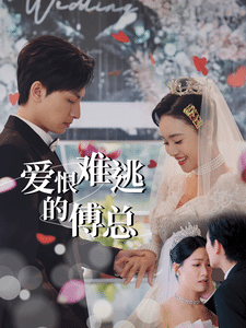 爱恨难逃的傅总海报