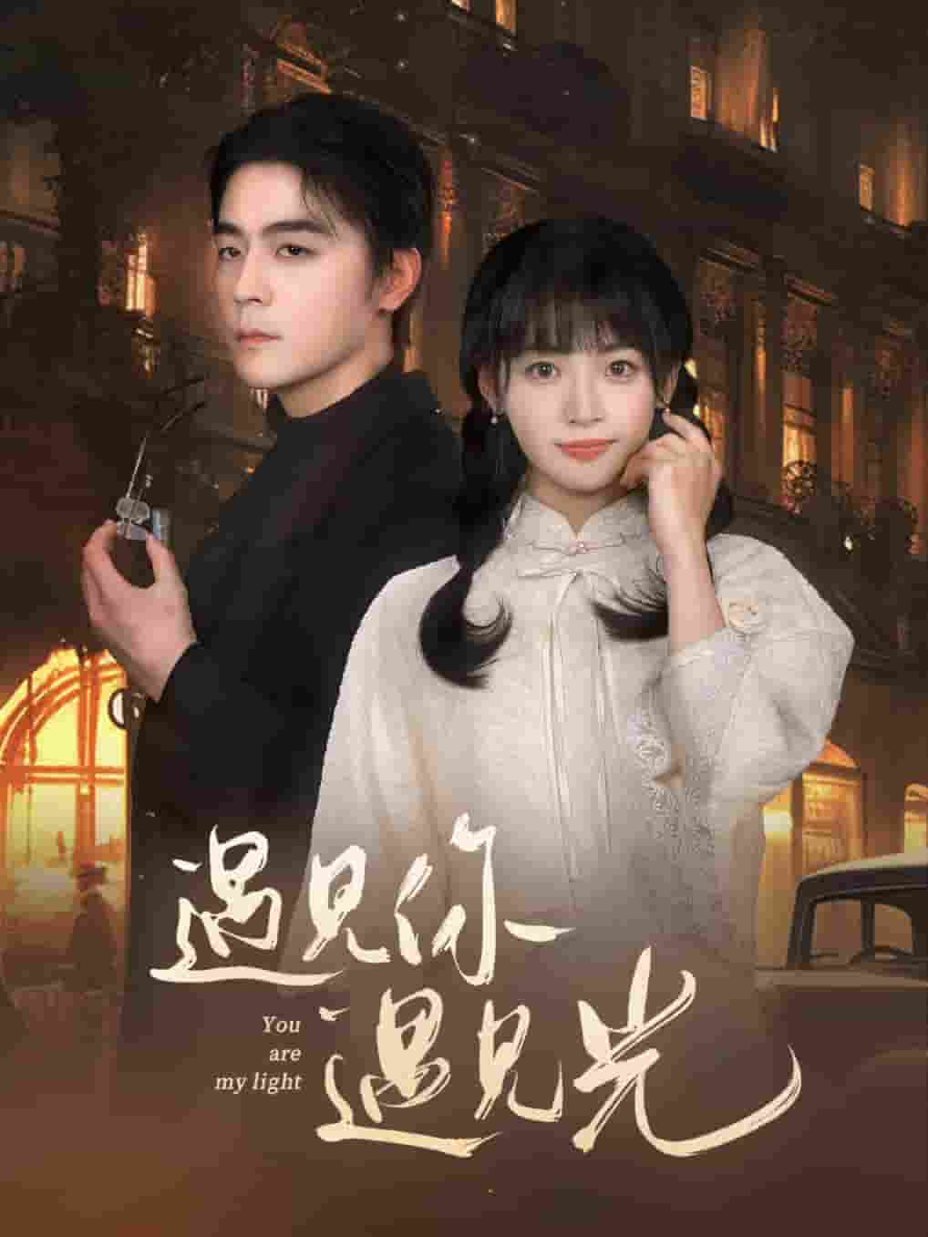 遇见你遇见光海报