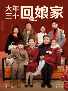 大年三十回娘家海报