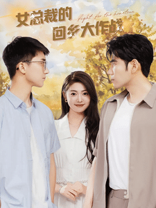 女总裁的回乡大作战海报