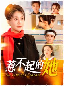 惹不起的她海报