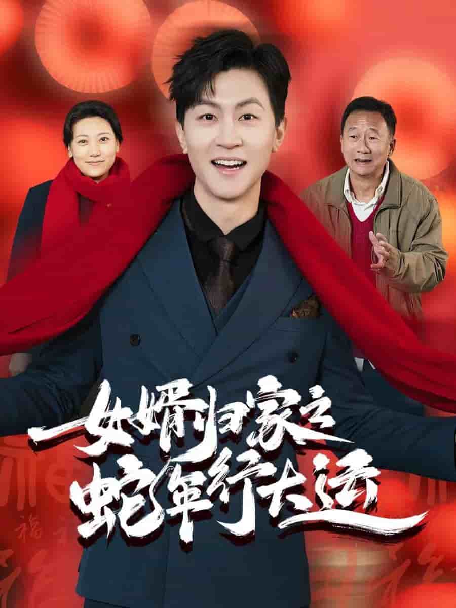 女婿归家之蛇年行大运海报