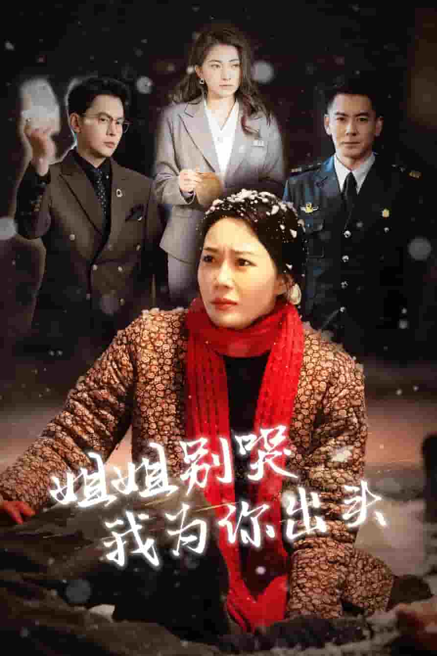 姐姐别哭我为你出头海报