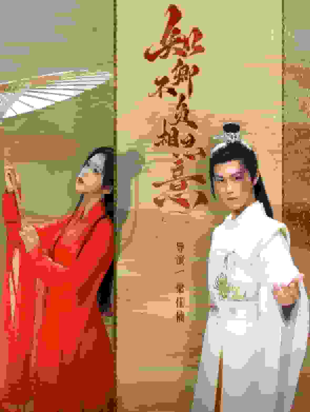 知卿不负相思意海报